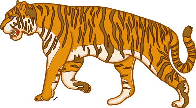 Le tigre