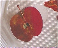 Schéma déco pomme