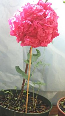 Rose de papier