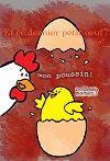 Le poussin