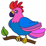 Coloriage le perroquet
