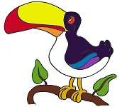 coloriage le toucan