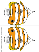 Poisson 1