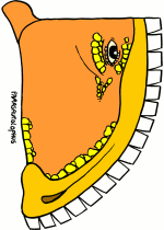 Masque parasaurolophus