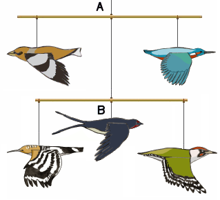 schema montage mobile oiseaux 4