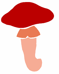 Pochoir champignon